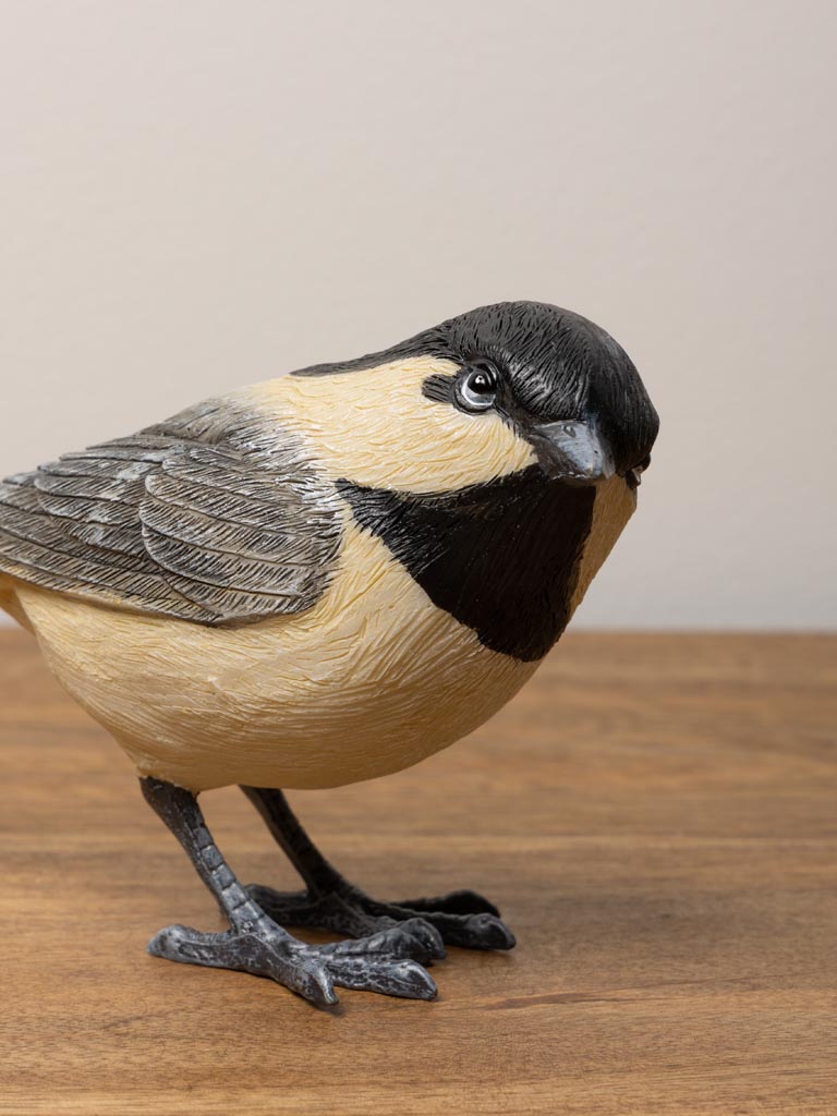 Coal tit in resin - 6