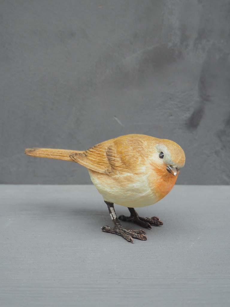 Robin bird in resin - 1