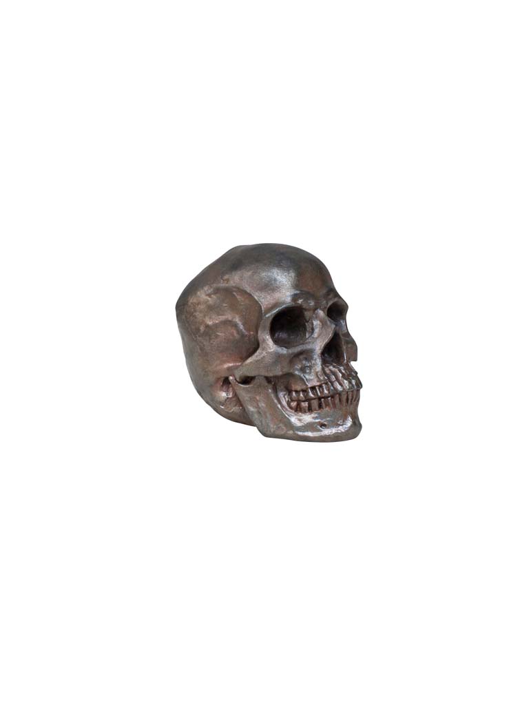 Deco resin rusty skull - 2