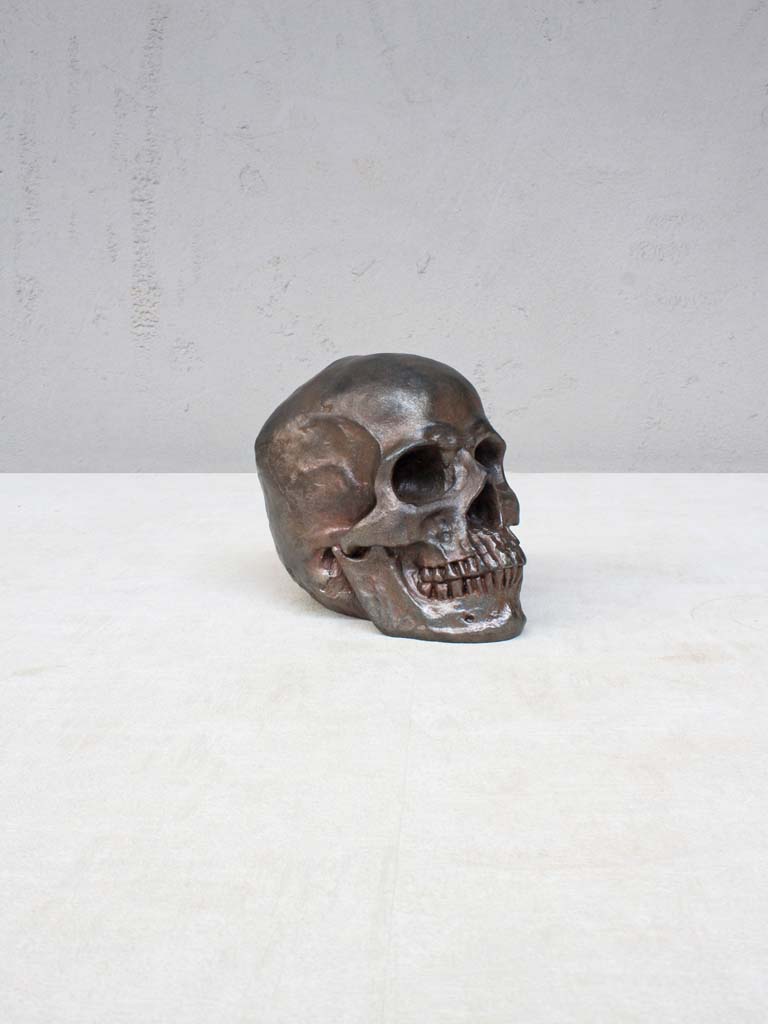 Deco resin rusty skull - 1