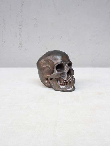 Deco resin rusty skull