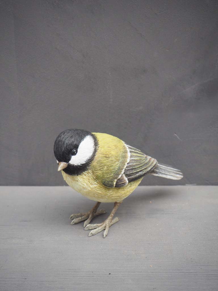 Great tit in resin - 1