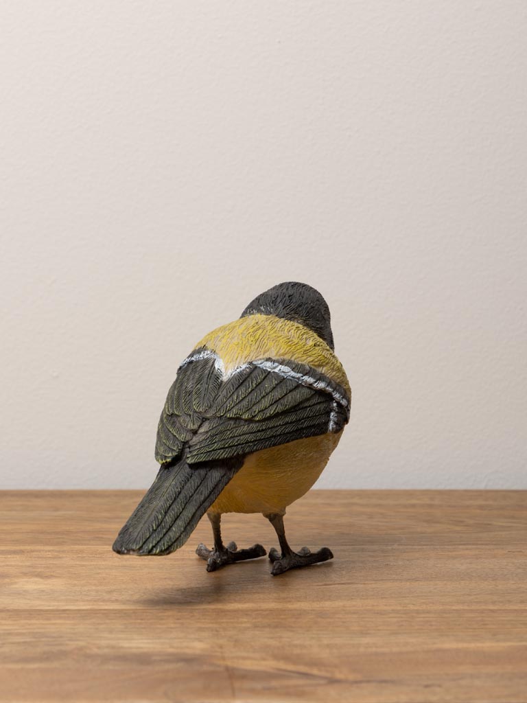 Great tit in resin - 5