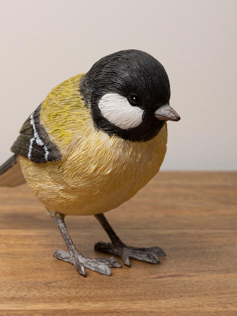 Great tit in resin - 4
