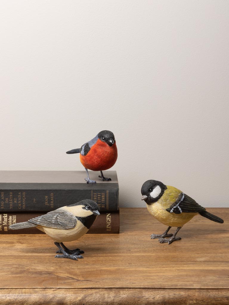 Great tit in resin - 6