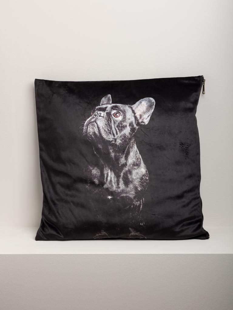 Cushion with frenchie bulldog - 3