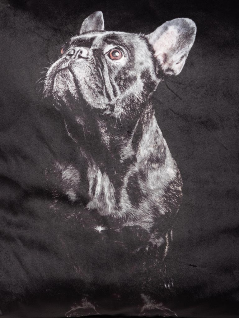 Cushion with frenchie bulldog - 5