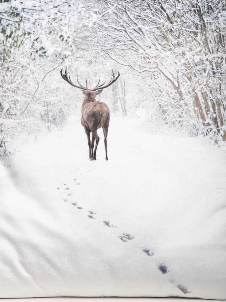 Cushion deer in snowy landscape - 5