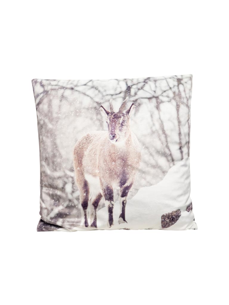 Coussin Etagne dans paysage enneigé - 2