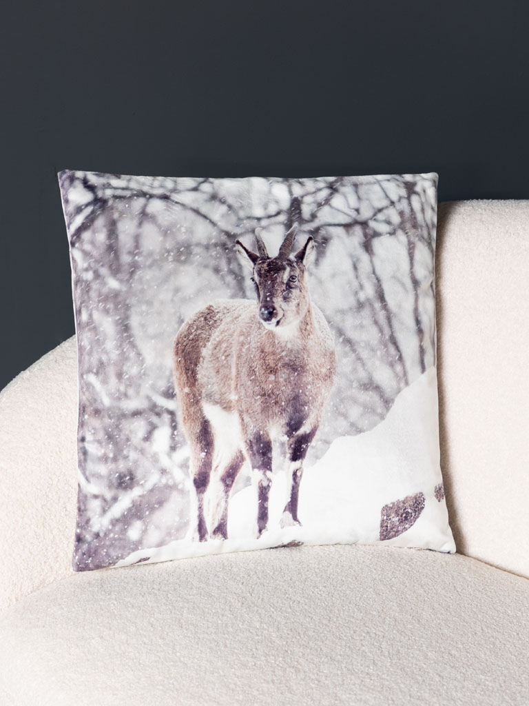 Coussin Etagne dans paysage enneigé - 1