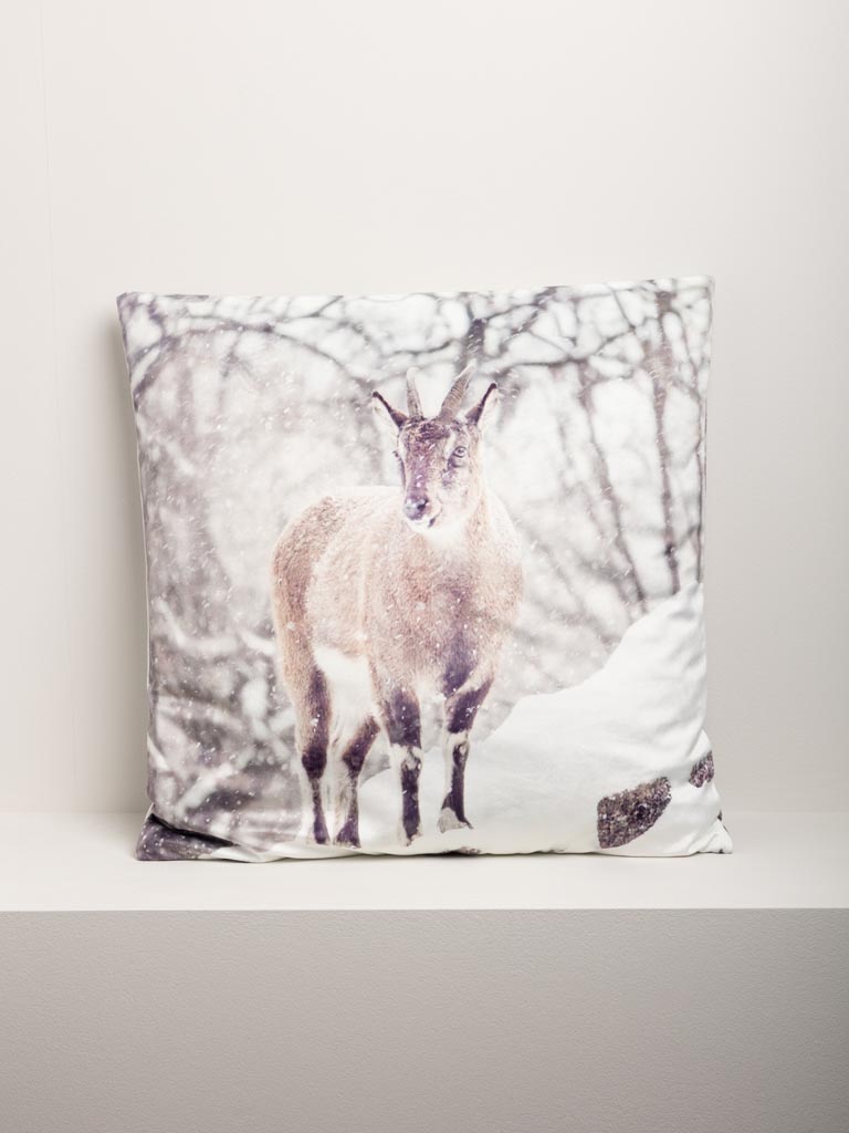 Coussin Etagne dans paysage enneigé - 3