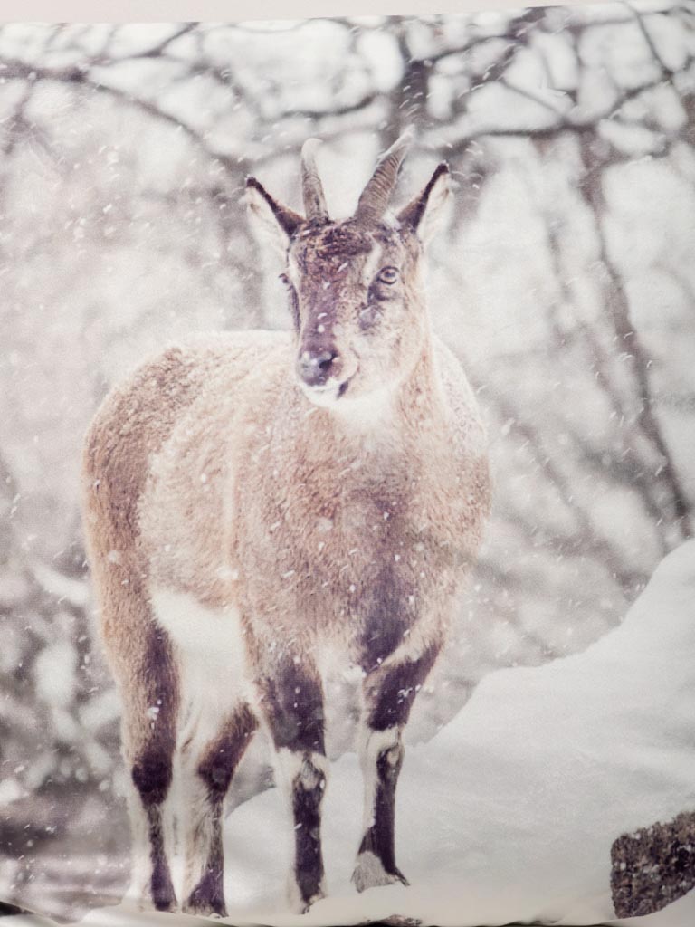 Cushion Etagne in snowy landscape - 5