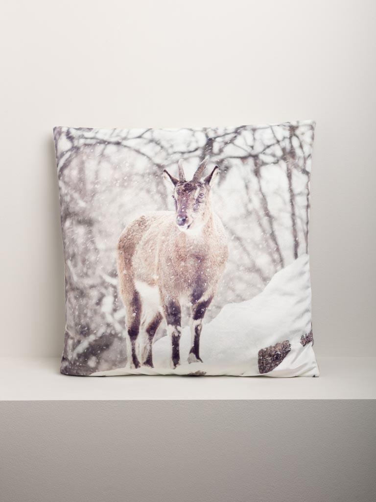 Coussin Etagne dans paysage enneigé - 4