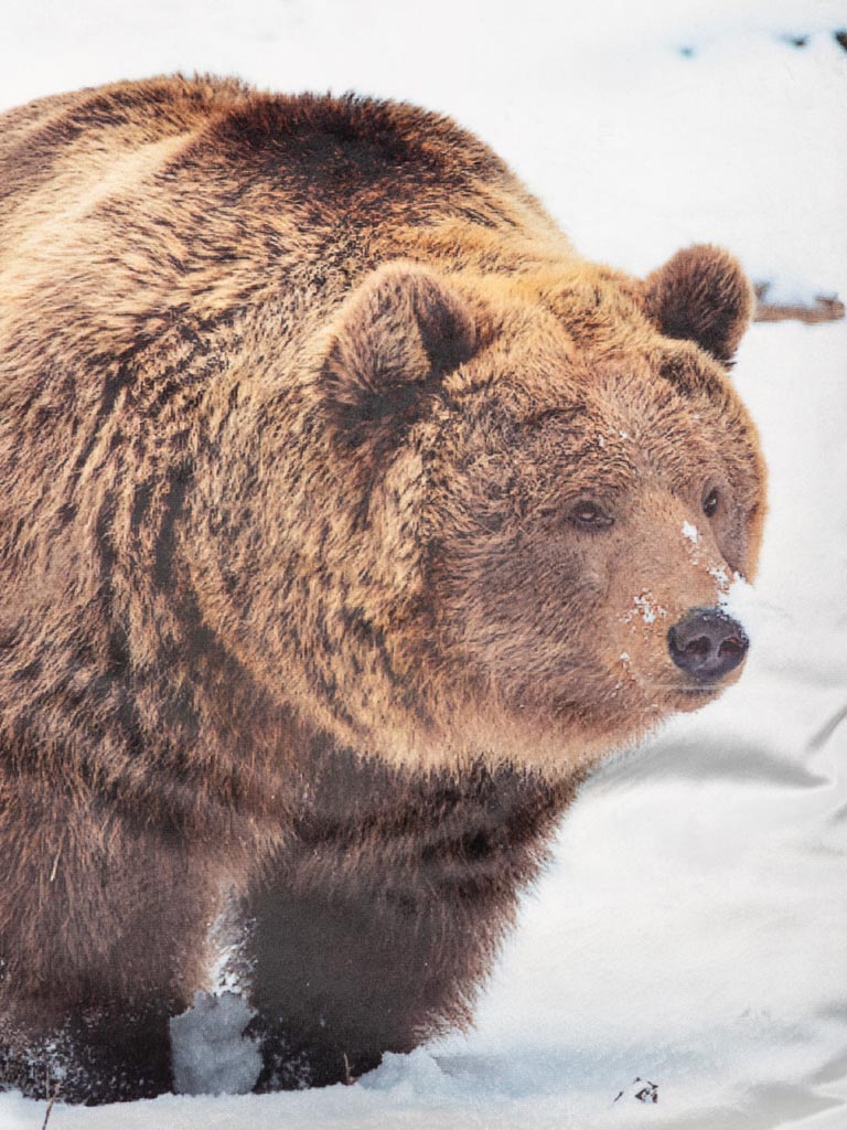 Cushion bear in snowy landscape - 5