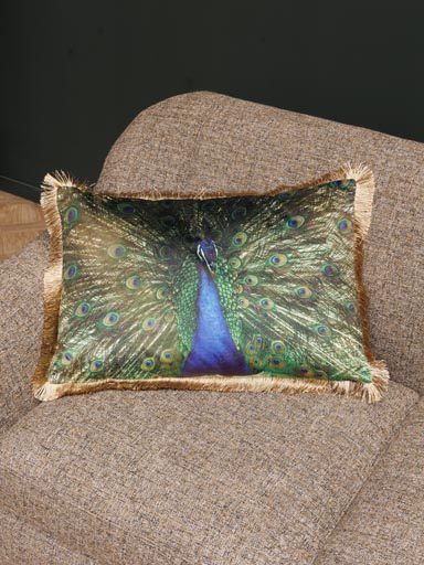 Cushion peacock courtship ritual