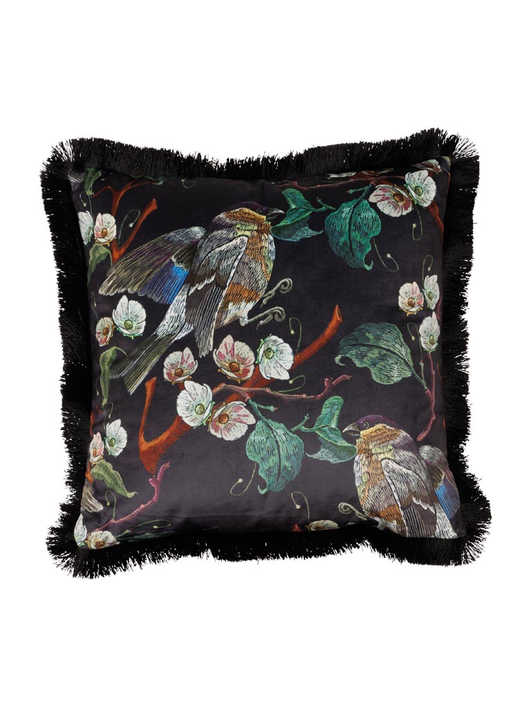 Black cushion birds of paradise - 2