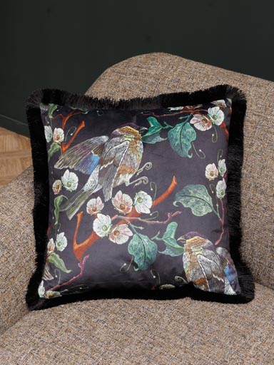Black cushion birds of paradise