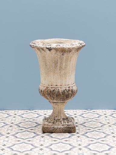 Medicis planter