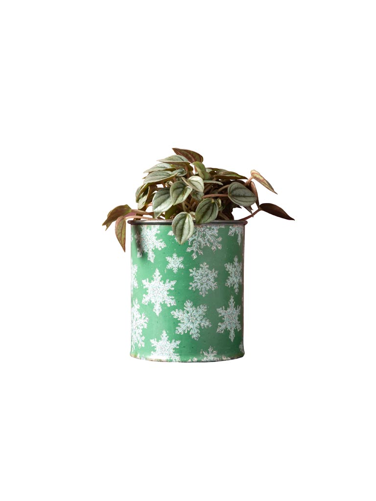 Cache pot patine zinc vert et flocons - 2