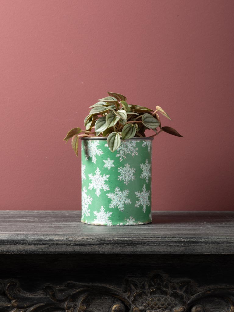 Small green planter zinc patina with snowflake - 1