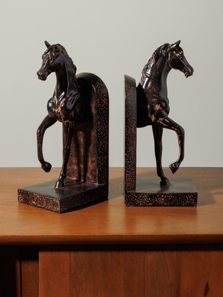 Bookends horse gait - 5