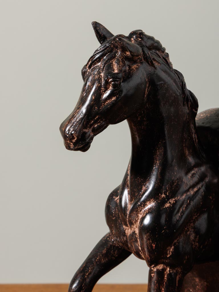 Bookends horse gait - 4