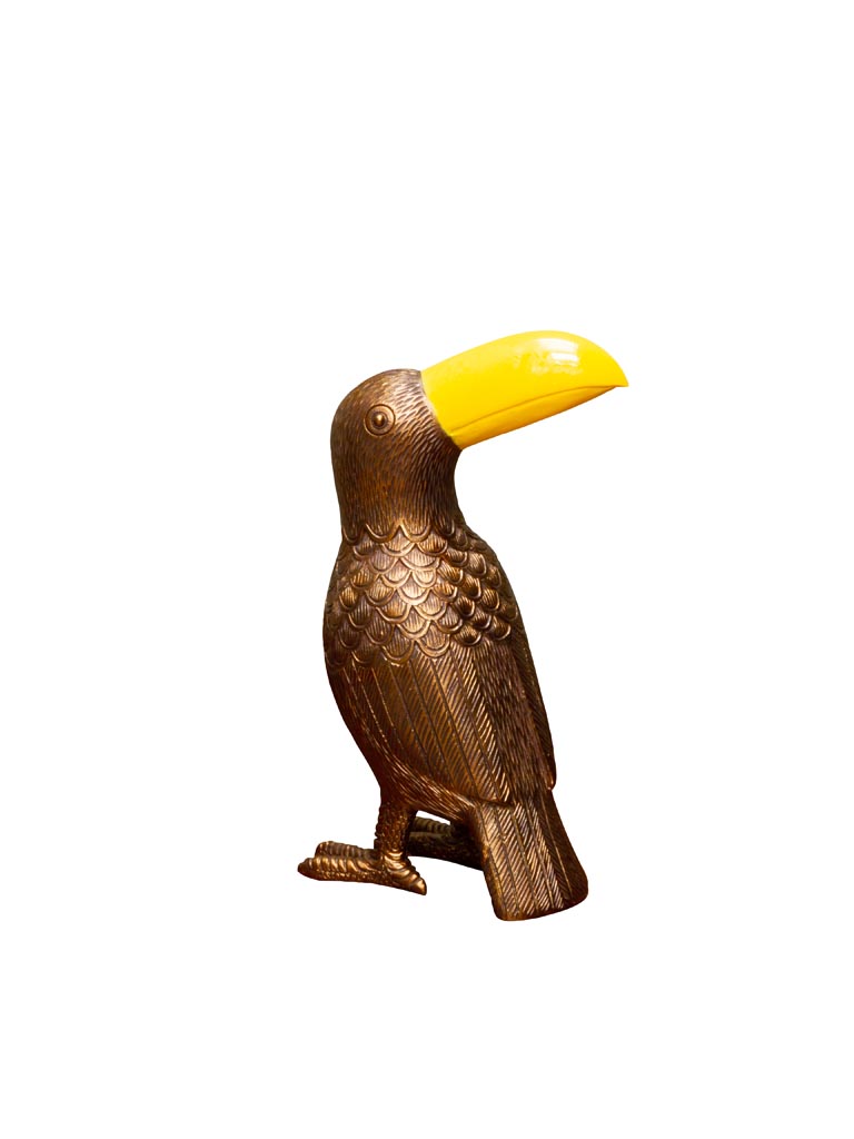 Golden tacoon with yellow beak - 2