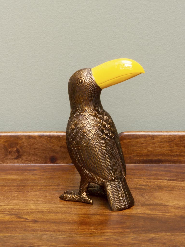 Golden tacoon with yellow beak - 1