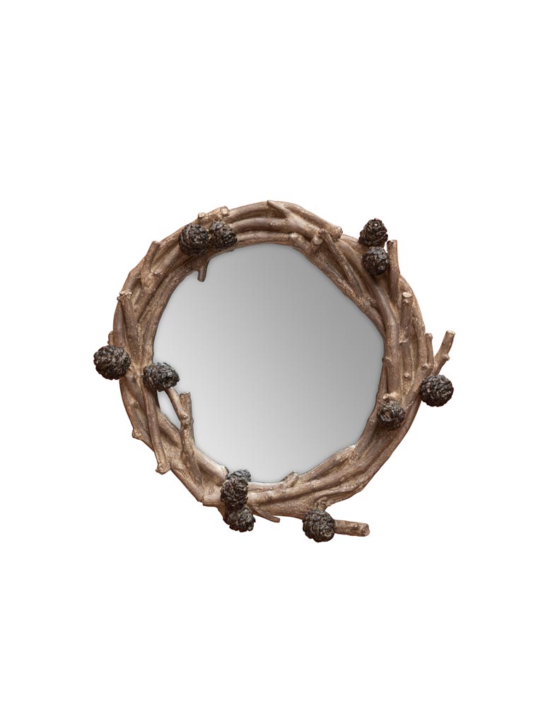 Mirror with pinecones and branches - 2