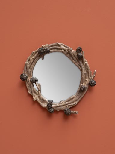 Mirror with pinecones and branches