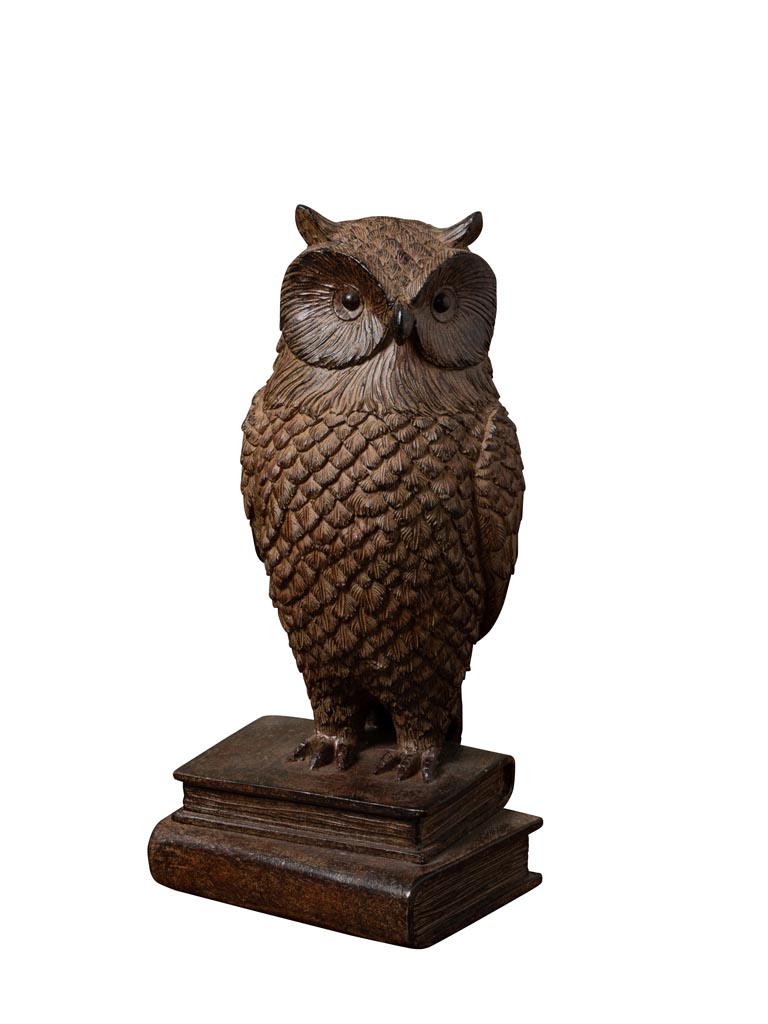 Library owl - 2