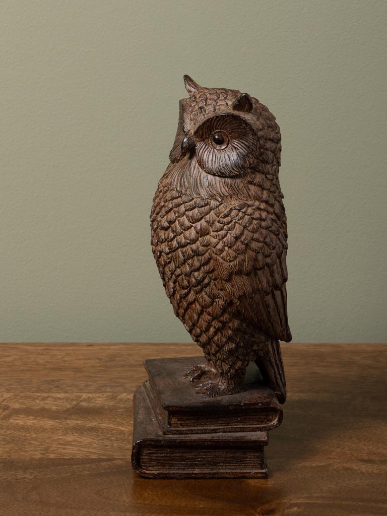 Library owl - 3