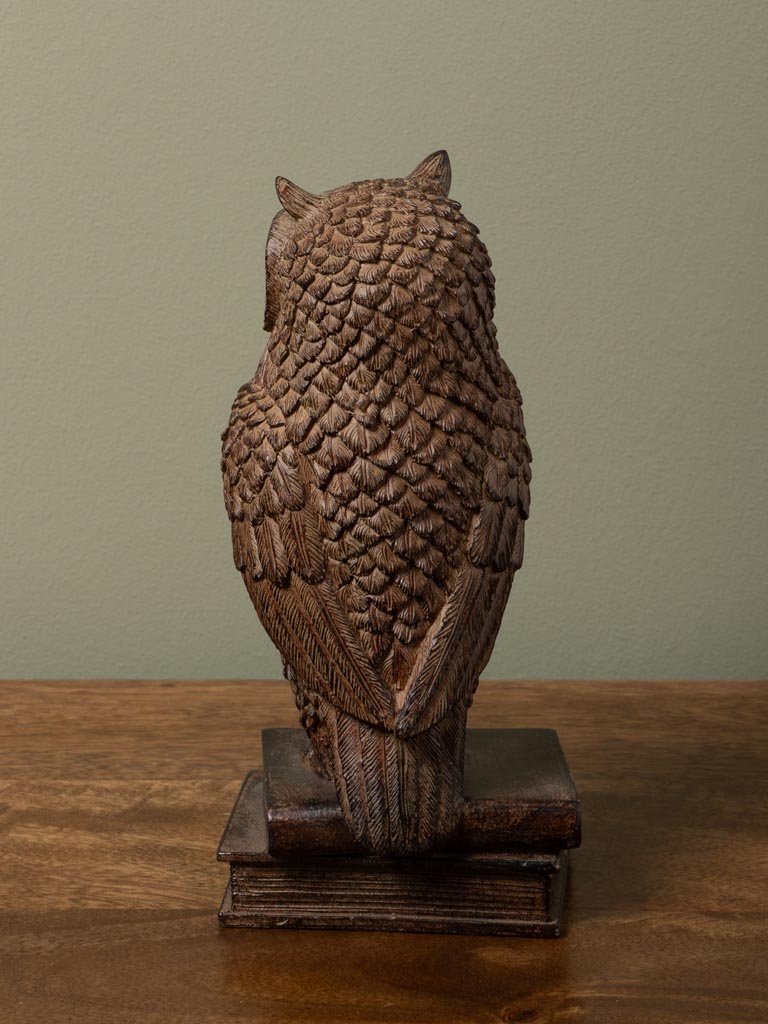 Library owl - 5