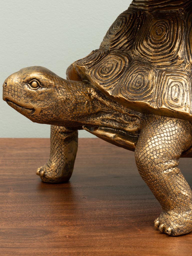 Antique gold turtle with tray - 4