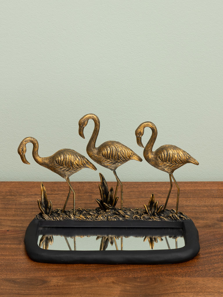 Flamants dorés et mare miroir - 1