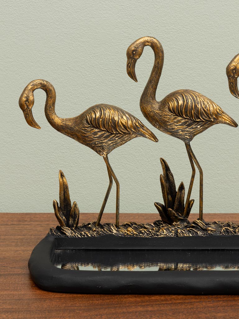 Flamants dorés et mare miroir - 4