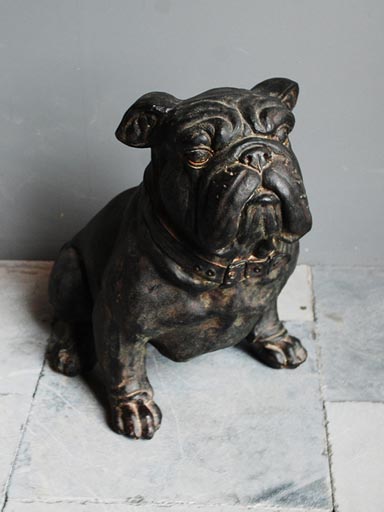 English bulldog.
