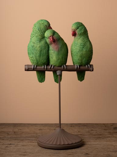 Red-billed parrots on perch