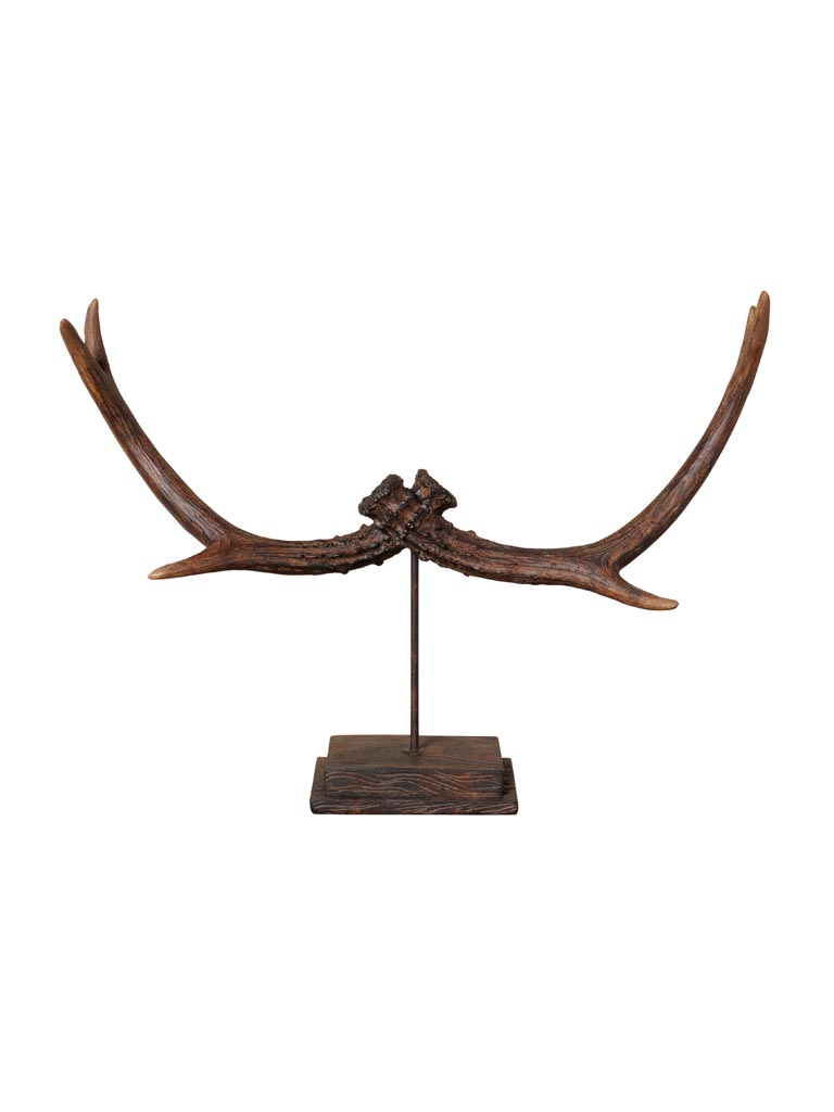 Déco bois de cerf sur pied - 2