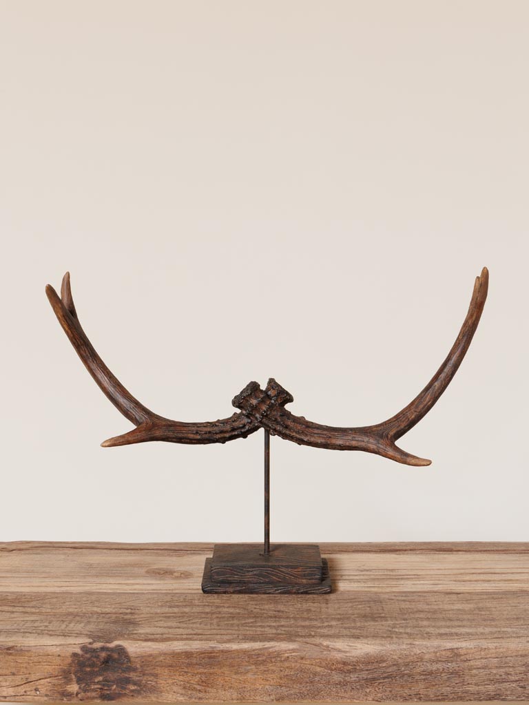 Déco bois de cerf sur pied - 1