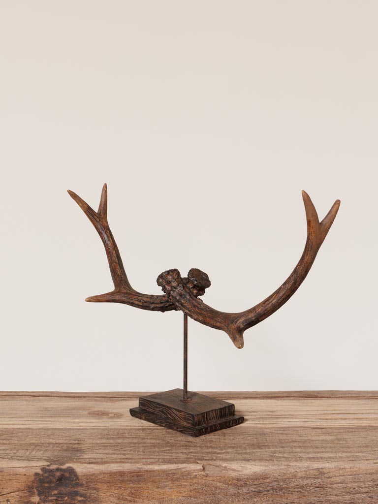 Déco bois de cerf sur pied - 3
