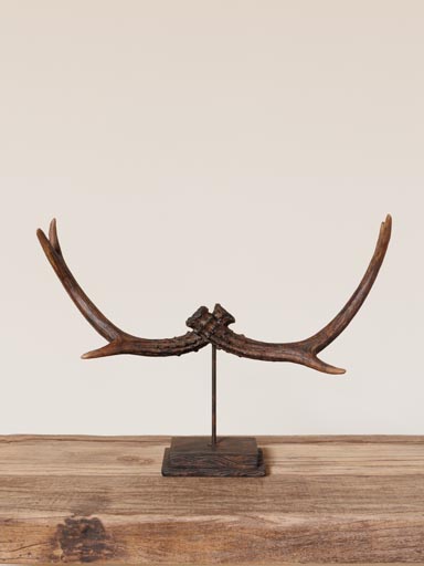 Déco bois de cerf sur pied