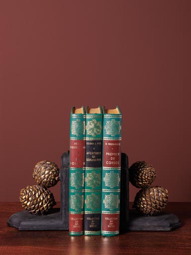 Bookends Pinecone