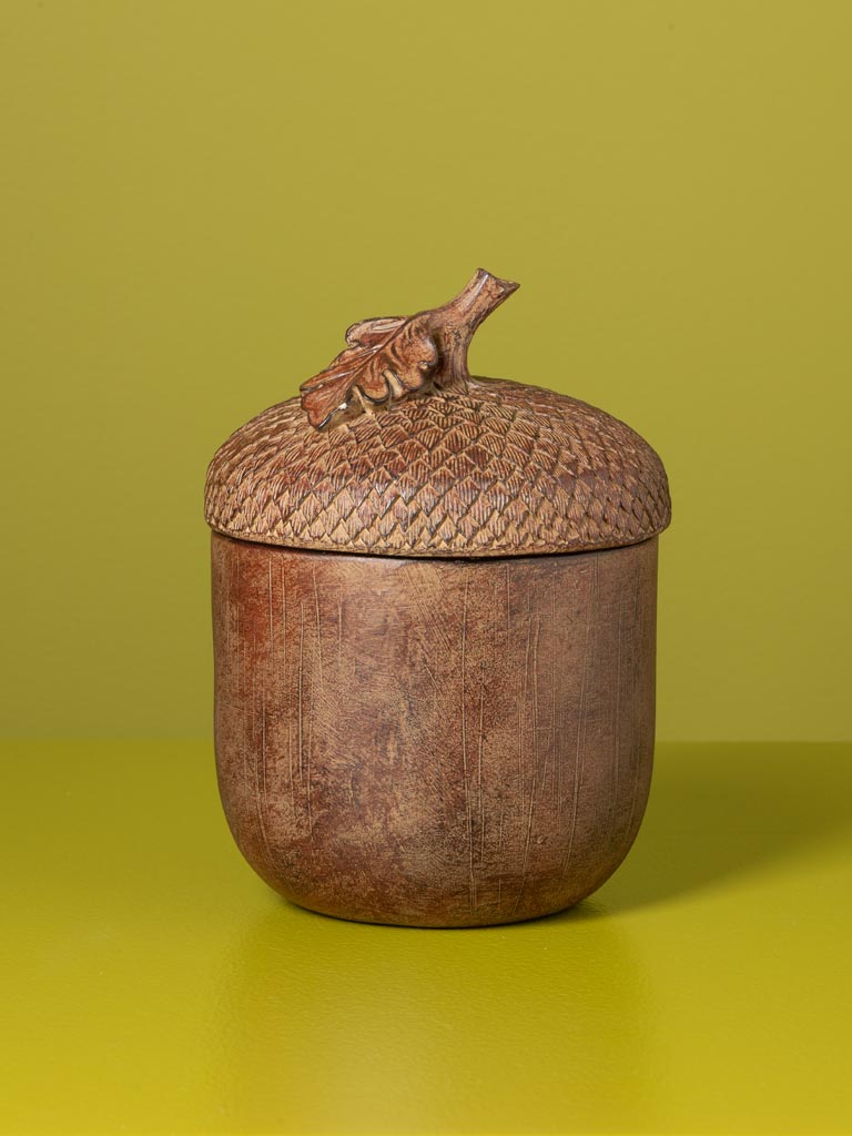 Boîte gland en résine marron - 1