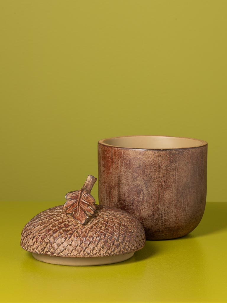 Boîte gland en résine marron - 3