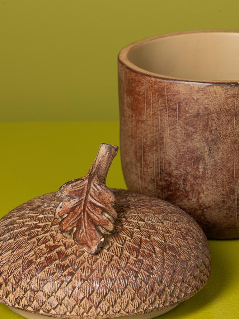 Boîte gland en résine marron - 4