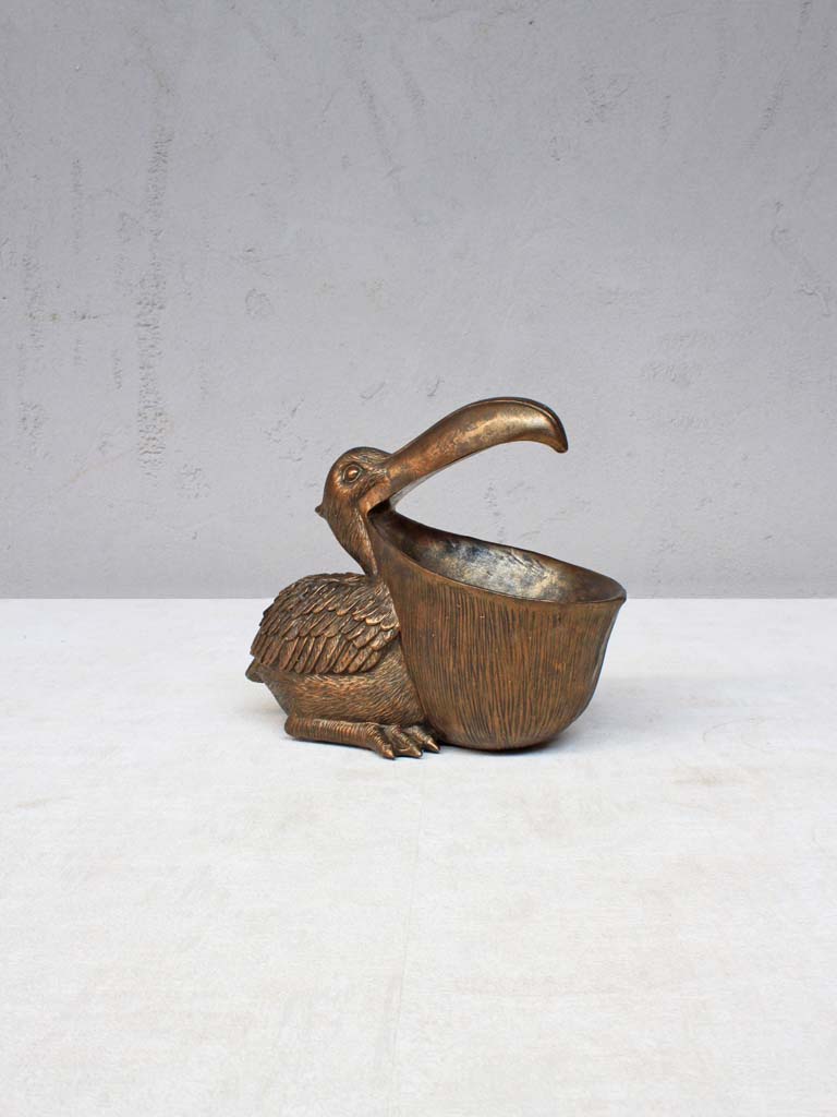 Pelican bouche ouverte - 1