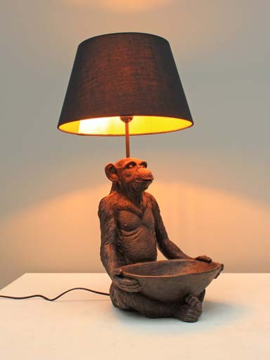 LAMPE singe vide poche et A/J