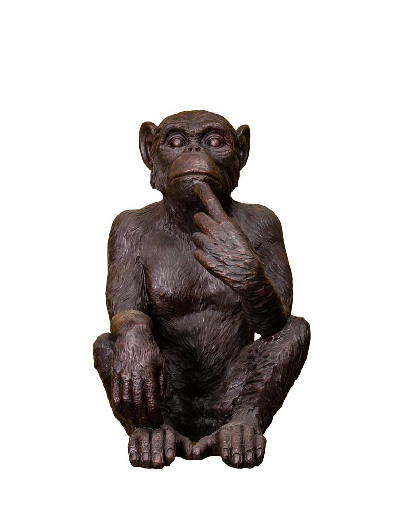 Big contemplative monkey - 2