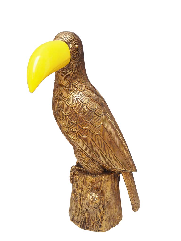 Toucan or et bec jaune - 2